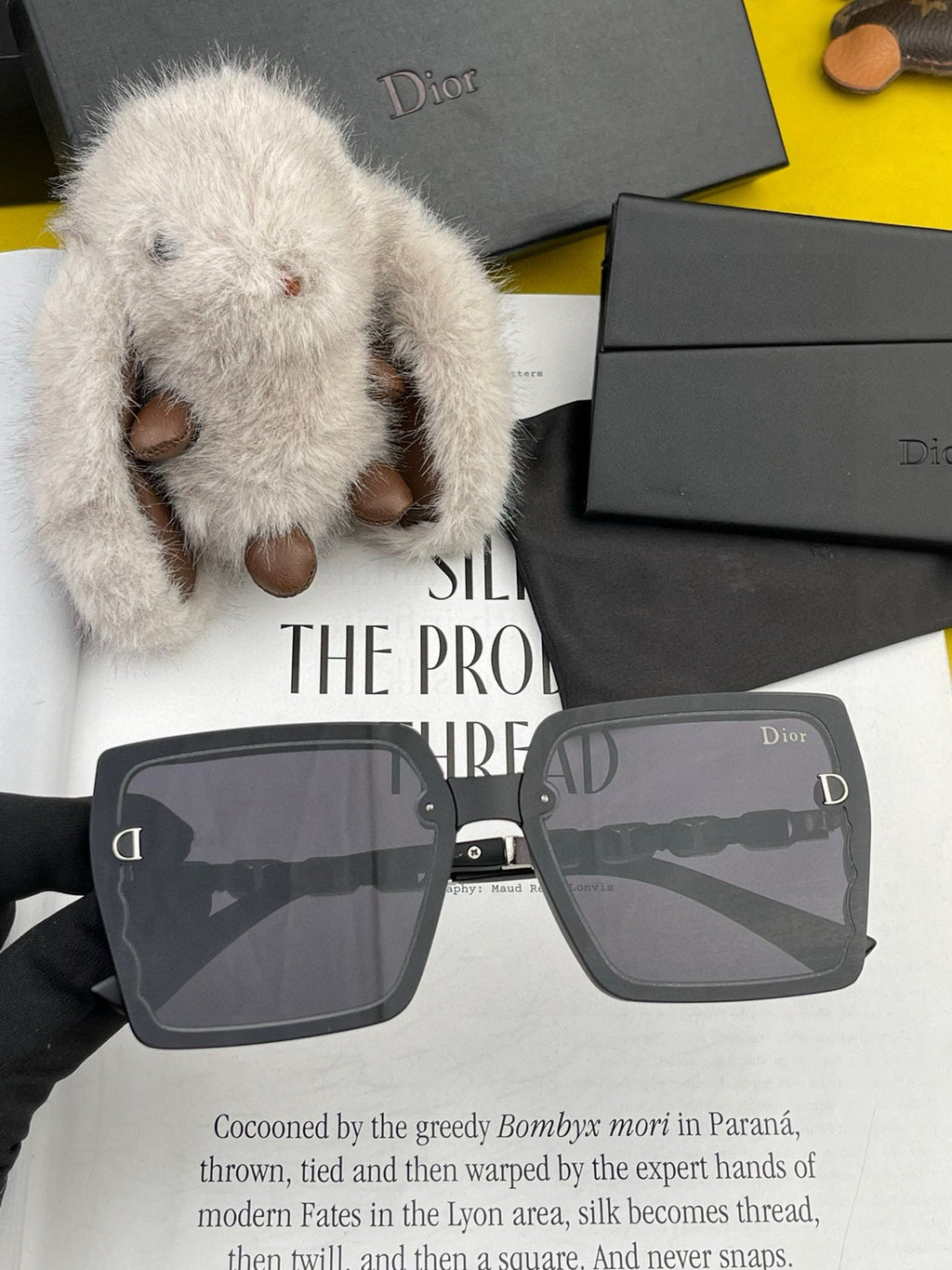 DIOR MONTAIGNE SUNGLASS CD5302 IN ACETATE EMBOSSED LOGO